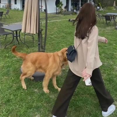 风火飞轮